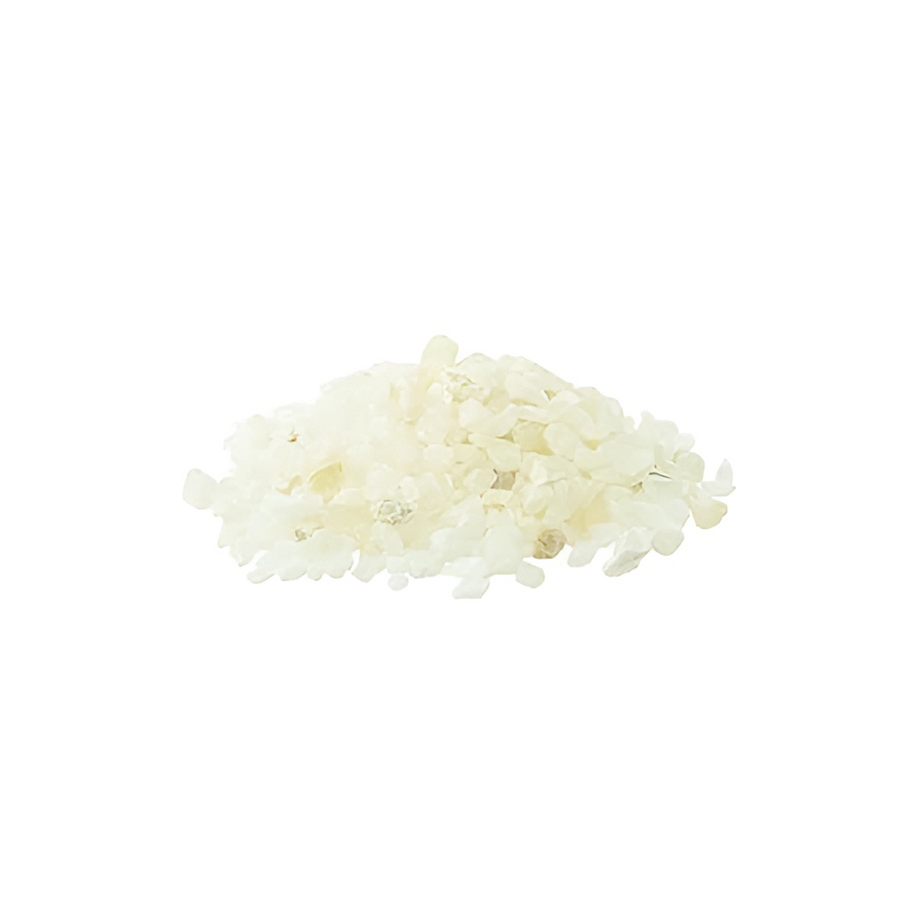 Small Gardening Potted Plants 1 Pack (700g) - White