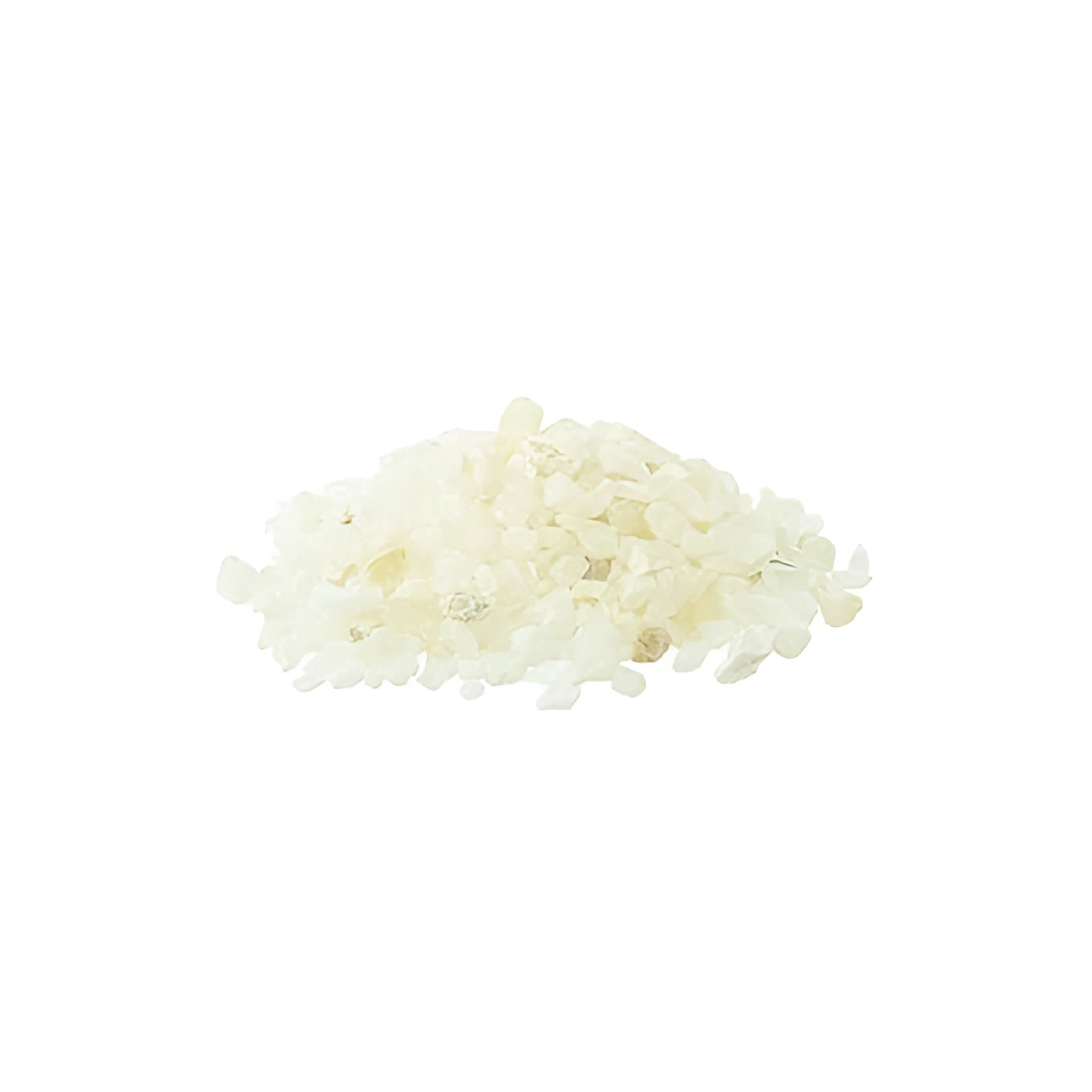 Small Gardening Potted Plants 1 Pack (700g) - White