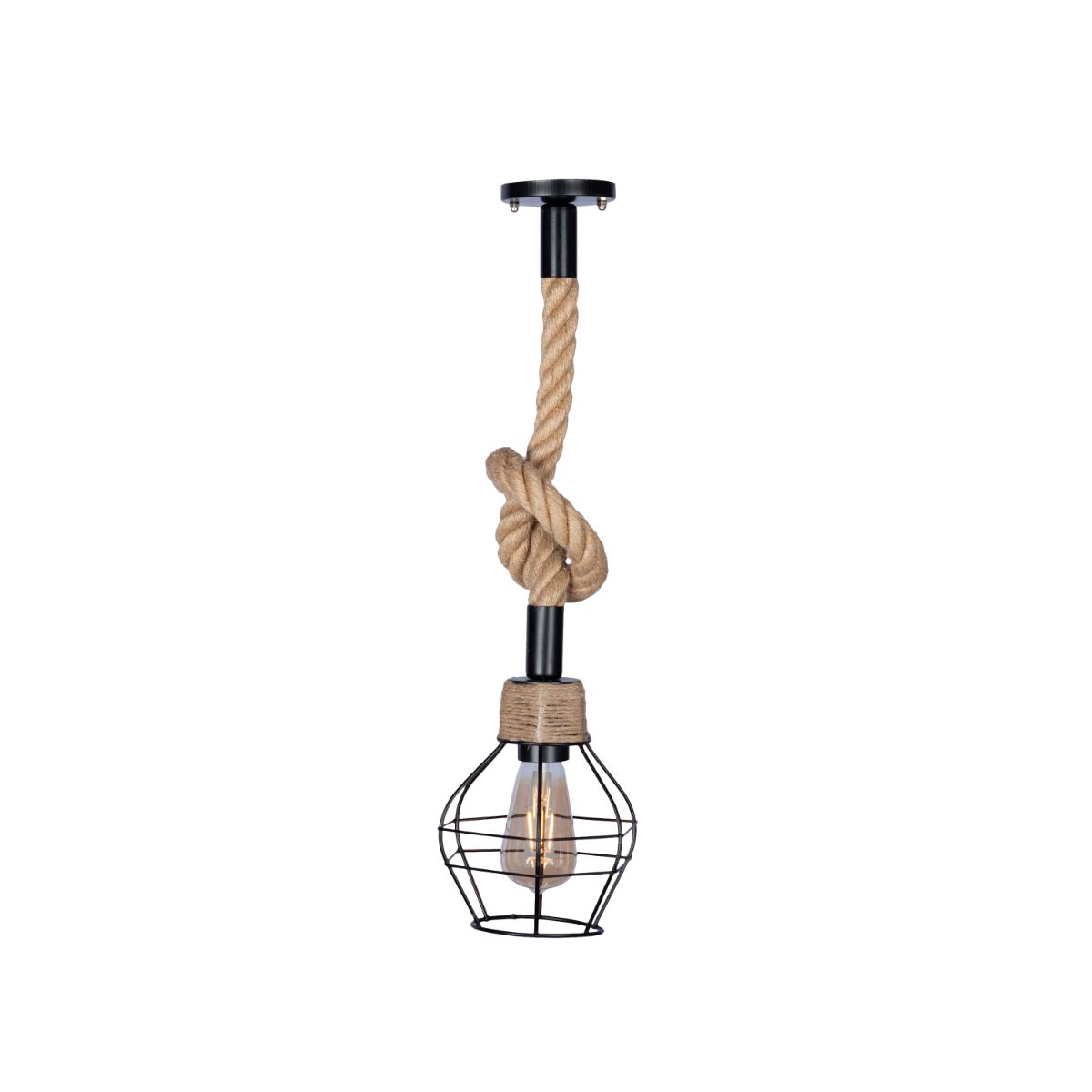 Polaroid 1 Bulb Black Pendant
