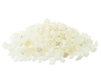 Small Gardening Potted Plants 1 Pack (700g) - White