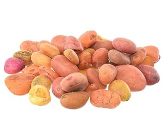 Large Gardening Stones in One Pack (700g) - Orange.