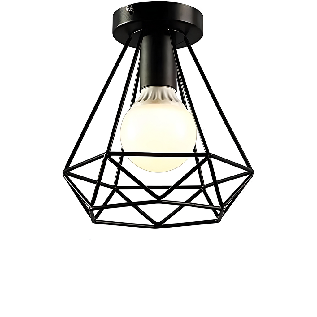 Black Ceiling and Wall Lamp.