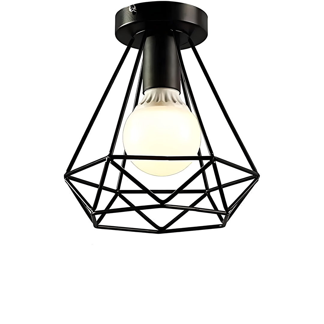 Black Ceiling and Wall Lamp.