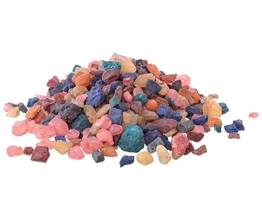 Small Gardening Potted Plants 1 Pack (700g) - Multi Color