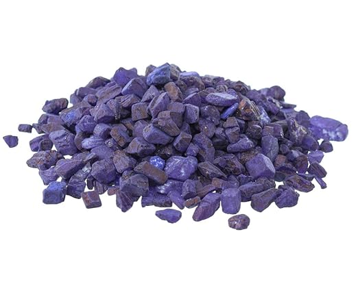 Small Gardening Potted Plants 1 Pack (700g) - Purple