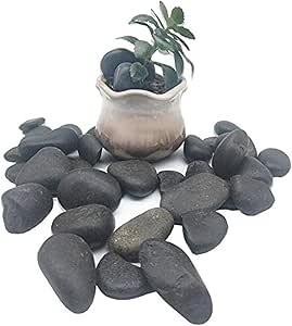 Plant Pebbles for Wet Soil Cover - 5 Lbs - Black