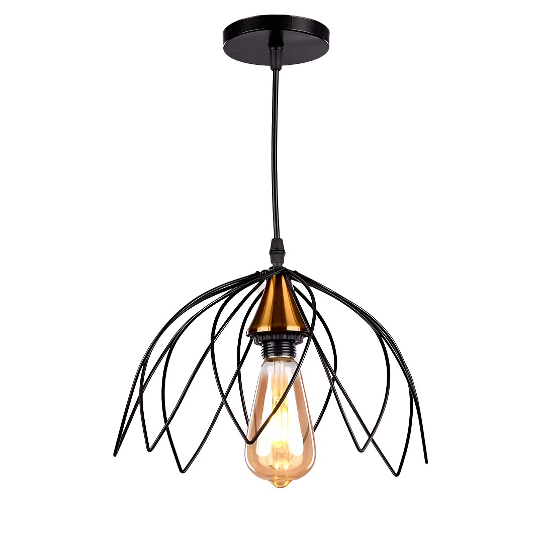 Black modern pendant  RB1048